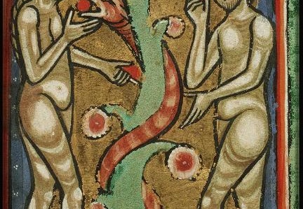 Picture Bible and Vitae Sanctorum