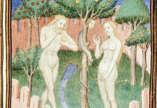 Des Cas des nobles hommes et femmes