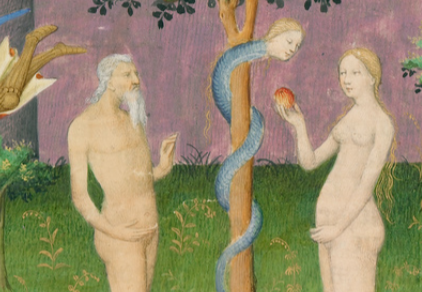 Des Cas des Nobles Hommes et Femmes