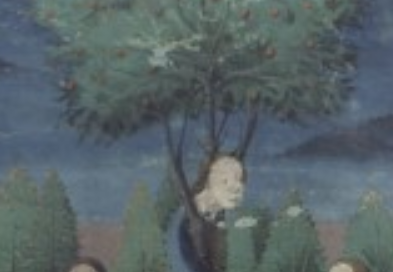 De Casibus Virorum Illustrium