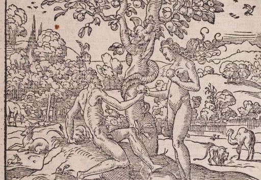 Salomon Biblia Sacra