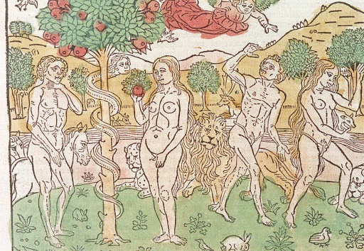 Supplementum chronicarum