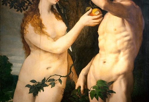 Frans Floris