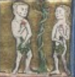Thomas of Cantimpré, De rerum natura